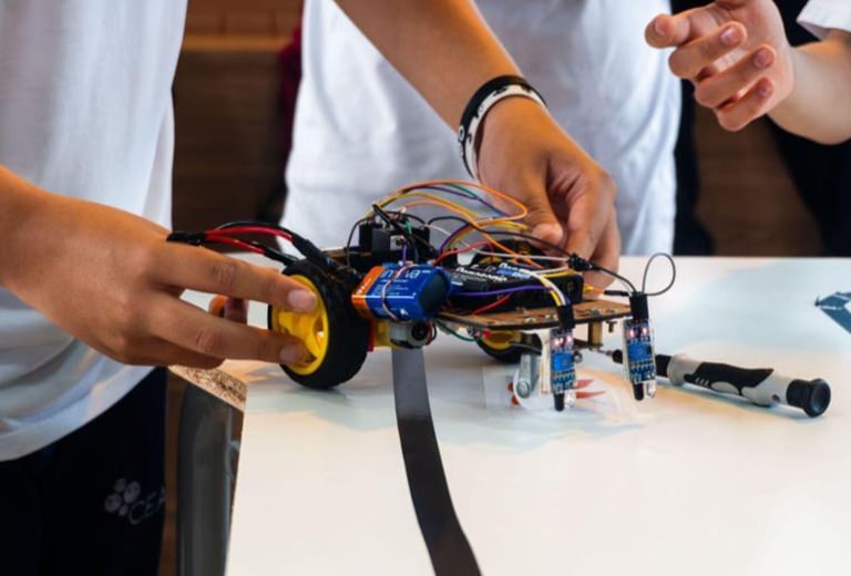 Centro Educacional Assistencial Profissionalizante