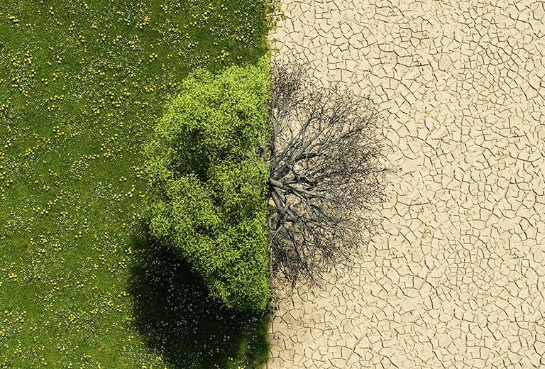 Mudança climática, riscos extraordinários e políticas públicas