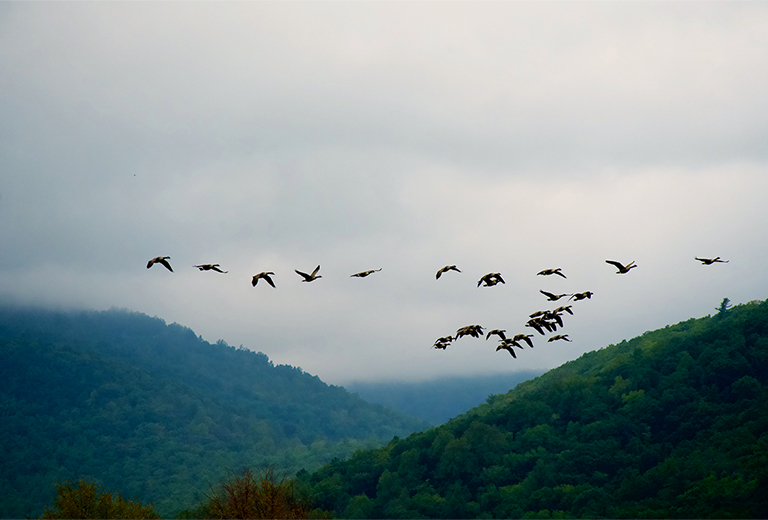 Prêmio por toda uma vida profissional José Manuel Martínez Martínez Existem pessoas que dedicam sua vida para melhorar a dos demais
